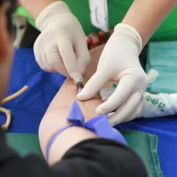 A healthcare professional drawing blood from a patient’s arm for laboratory testing at Weston Medical Clinic.
