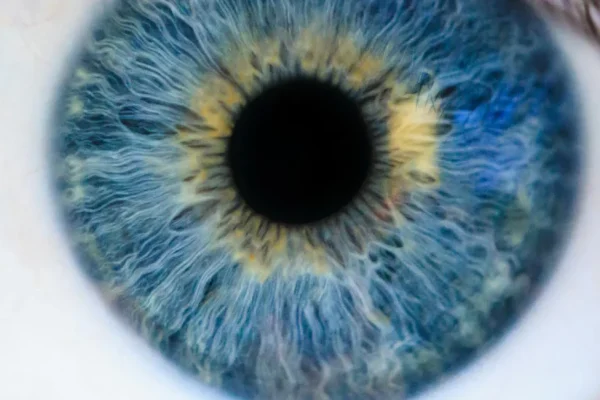Close-up of a blue human eye used to represent color vision and eye exam for FAA medical certification.